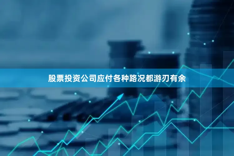 股票投资公司应付各种路况都游刃有余